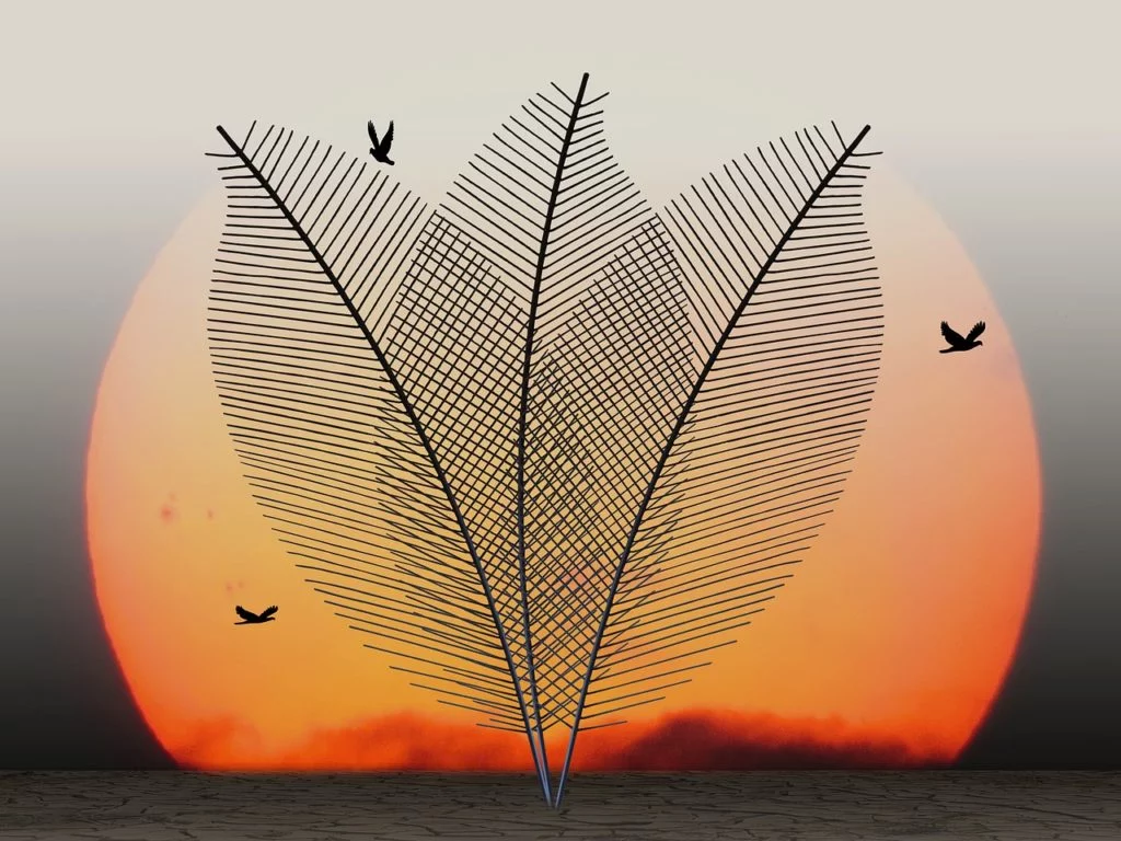 Obtimisme, fraicheur