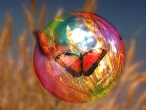 bubble,optimiste,papillon