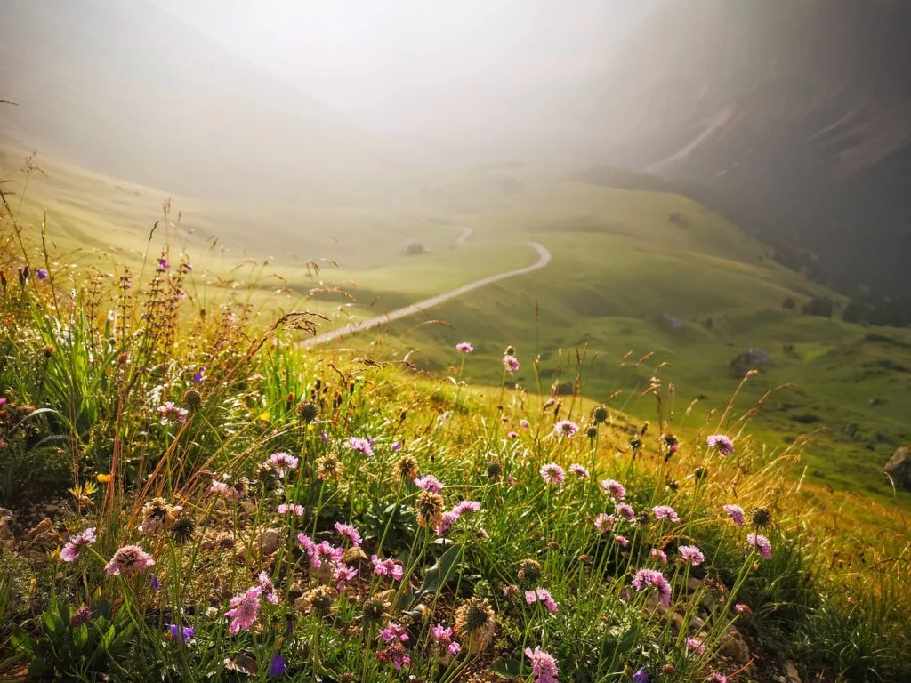 Mountain,voyage,determination