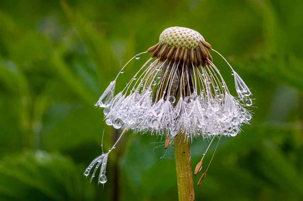 drop, pouvoir, pensées