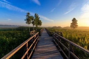 Spring,lake,chemin,amour