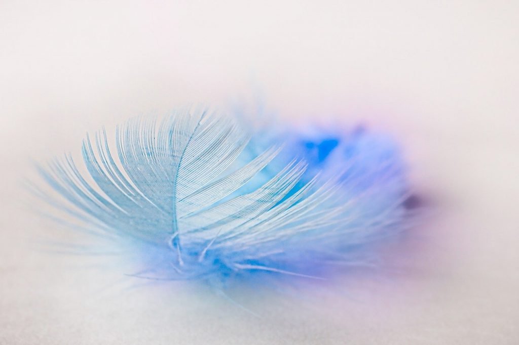 feather, pensee, pure