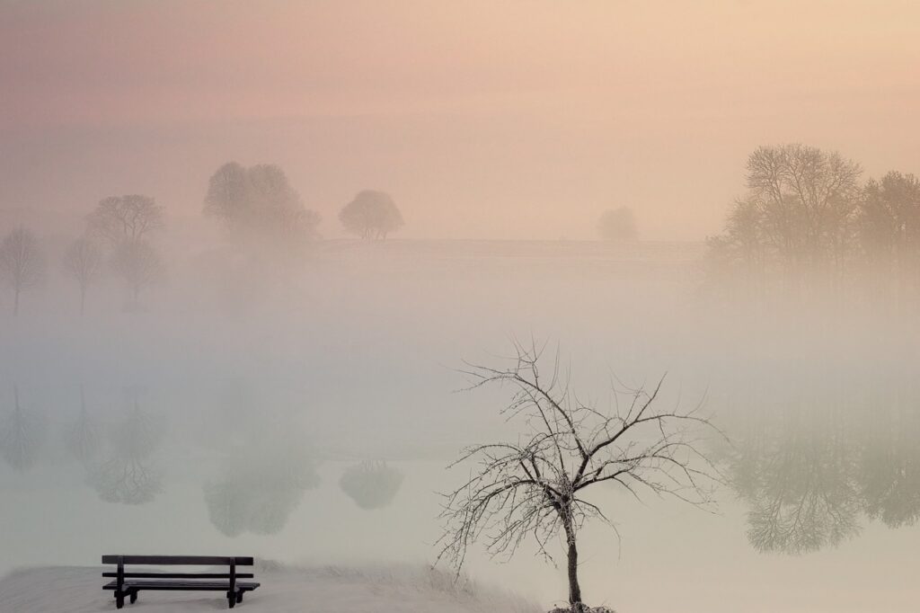 Dans la brume, un banc et arbre sans feuilles au bord d'un lac