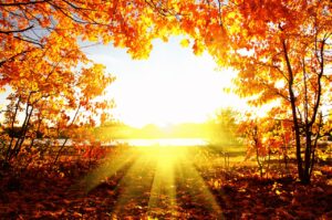scène d'automne avec un soleil radieux