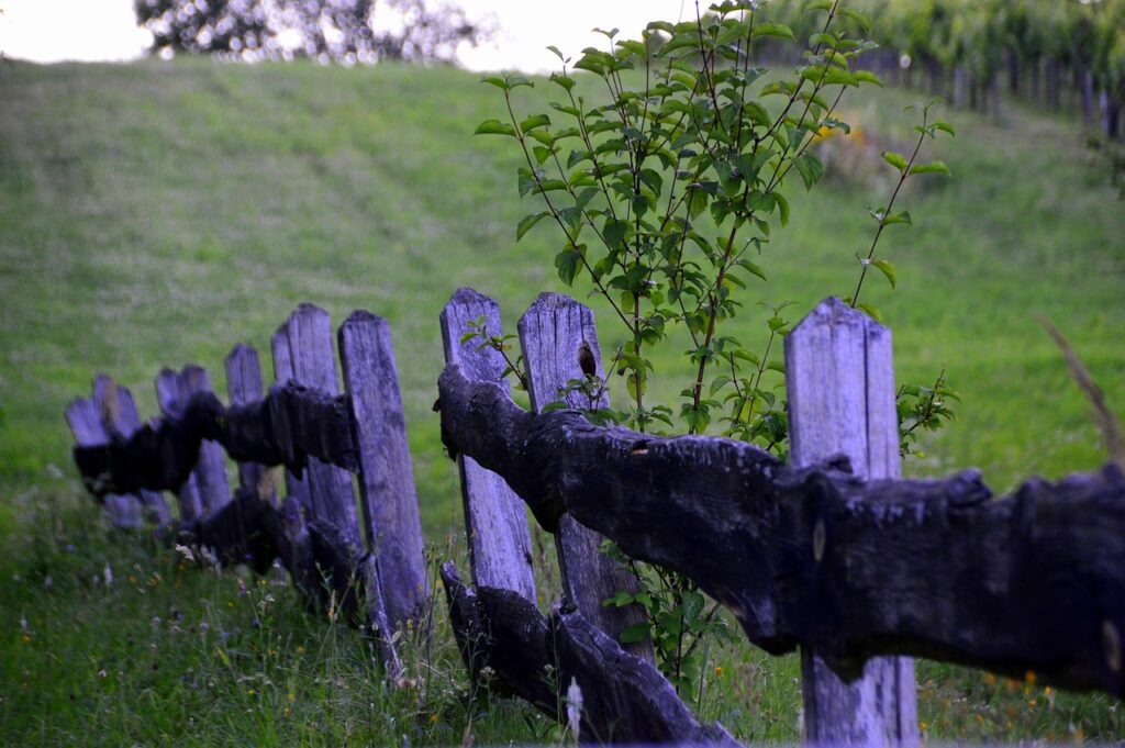 Vue sur une colline verte bordée d'une clôture mauve