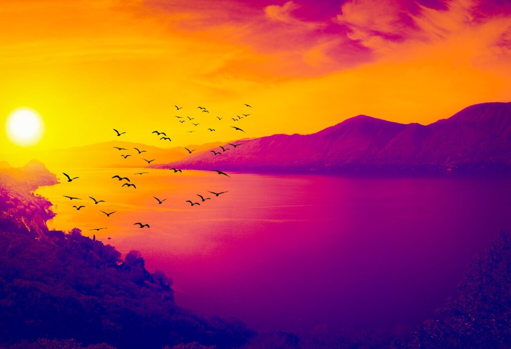 volée d'oiseaux vers un coucher de soleil