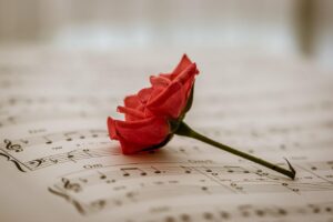 Une rose sur une feuille de musique