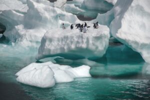 Des pingouins sur un glacier qui se détache